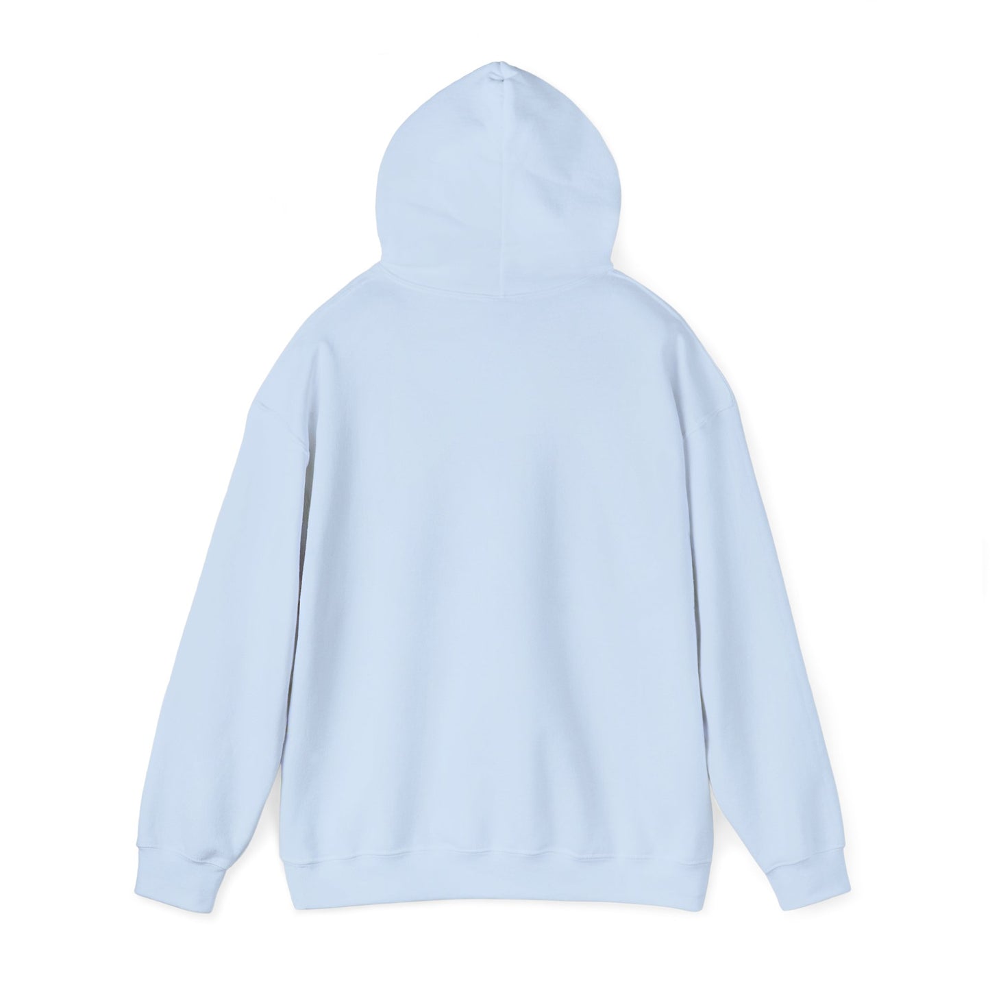Paraguay Heritage Hoodie