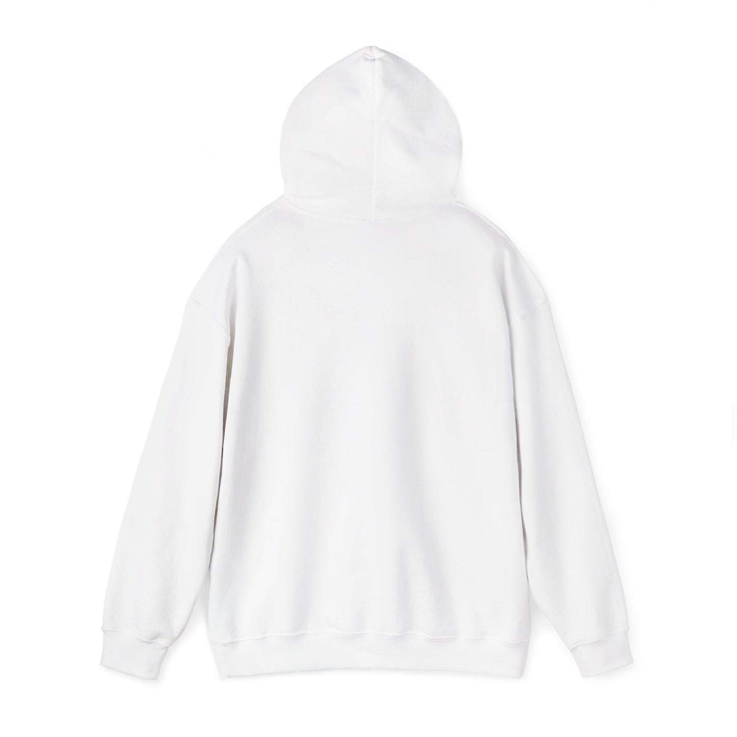 Ecuador Heritage Hoodie