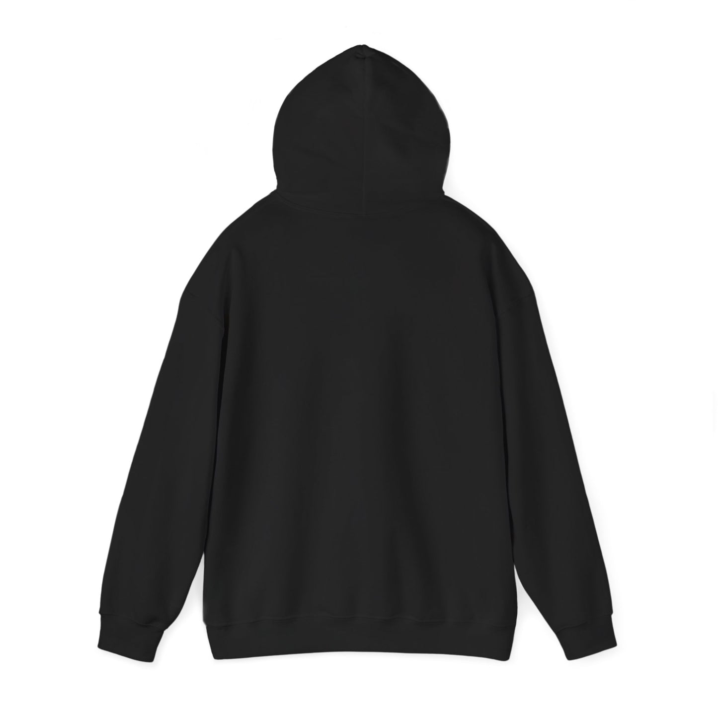 Paraguay Heritage Hoodie